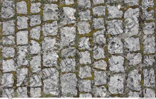 Photo Texture of Overgrown Floor